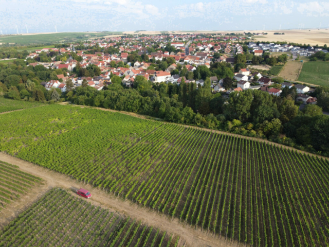 Feuerberg - An dem Sonnbrunnen -