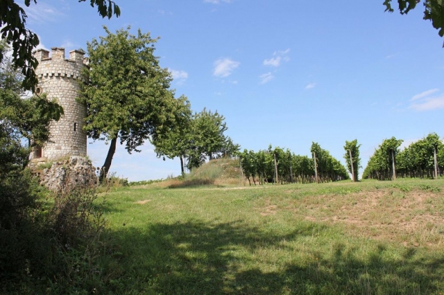 Wachturm im Goldberg