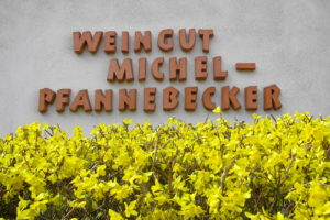 Michel-Pfannebecker Frühling