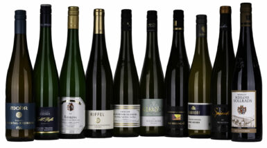 Riesling, Morstein, Michel-Pfannebecker