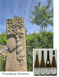 Silvaner Trophy, Flomborn, Feuerberg, Michel-Pfannebecker